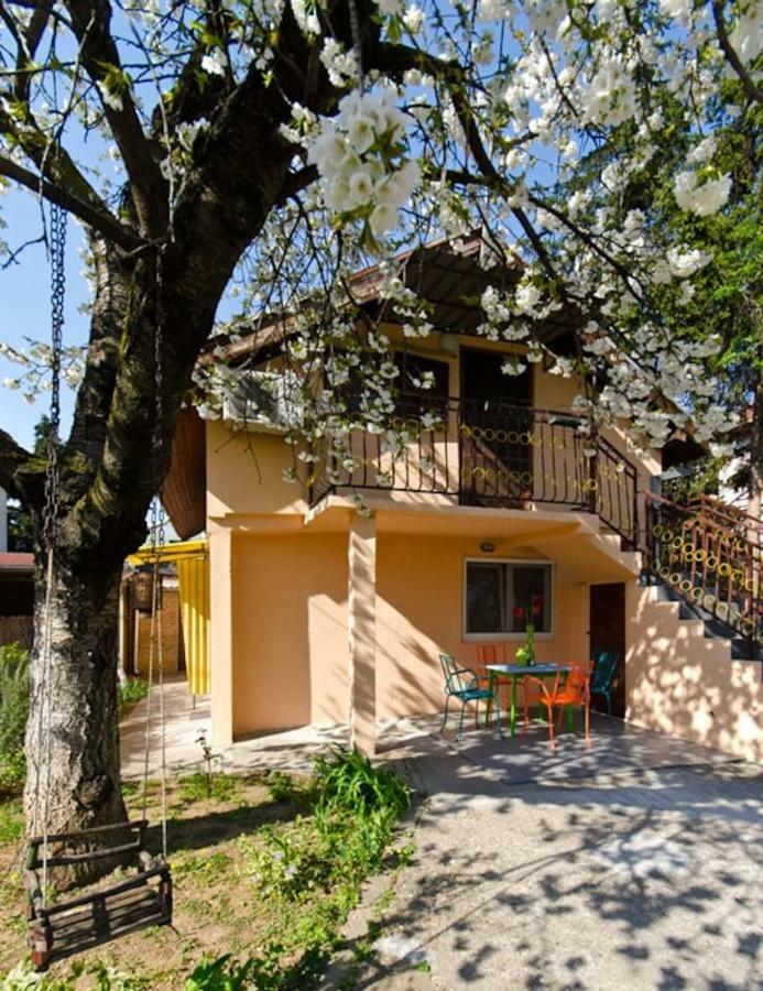 Cherry Tree Art House Belgrado Esterno foto