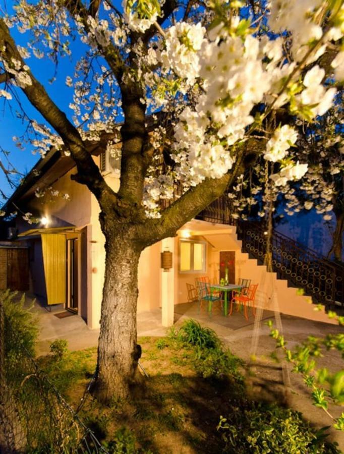 Cherry Tree Art House Belgrado Esterno foto