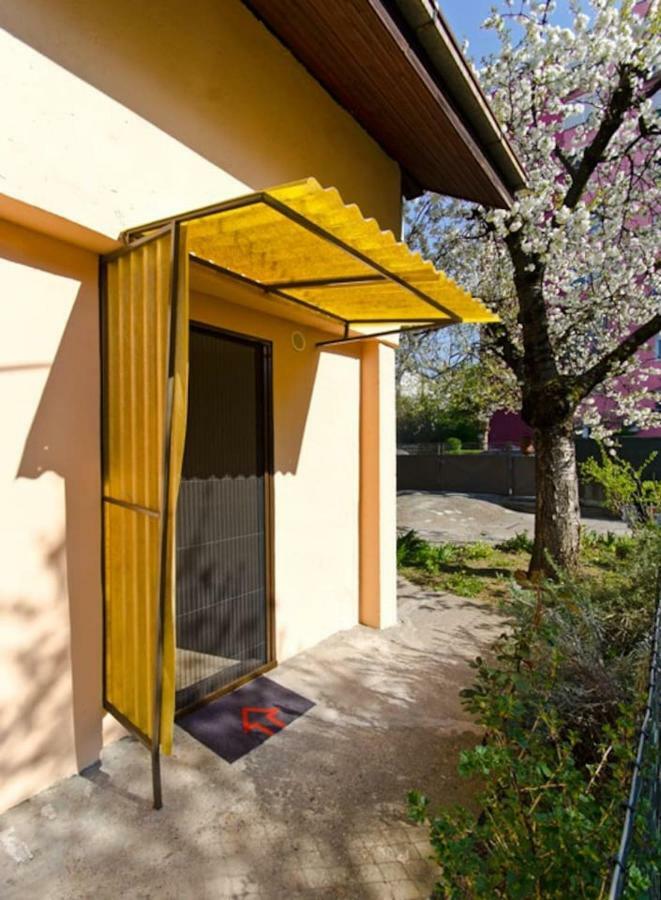 Cherry Tree Art House Belgrado Esterno foto